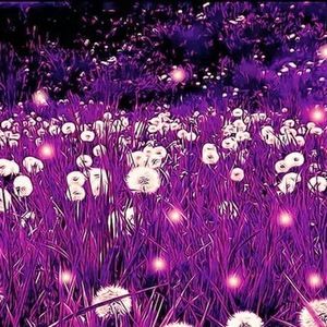 Meet your Posher, Bree